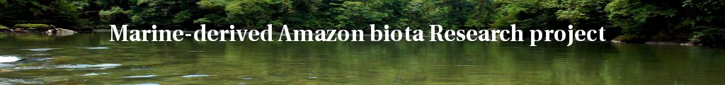 Project banner